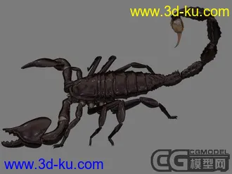 3D打印模型蝎子的图片