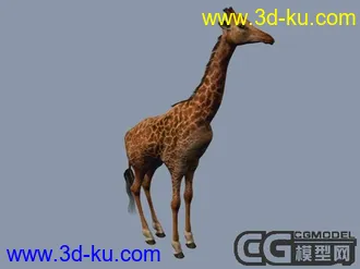 3D打印模型长颈鹿一只的图片