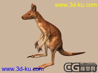 3D打印模型袋鼠一只的图片
