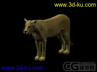3D打印模型狮子的图片