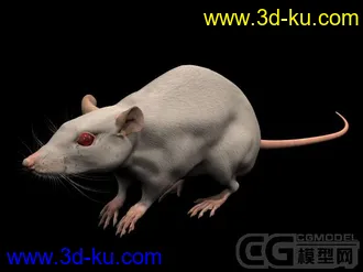 3D打印模型老鼠的图片