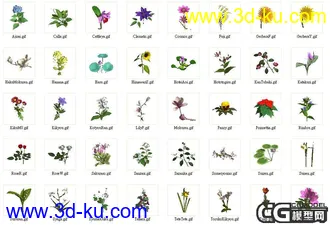 一套花模型(40个)的图片