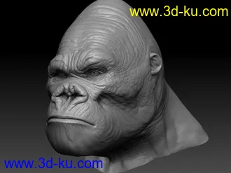 3D打印模型金刚头部简模的图片
