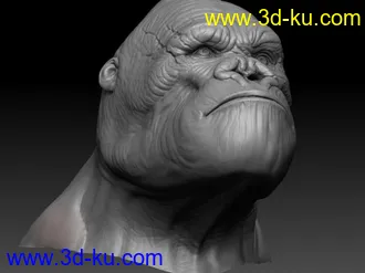 3D打印模型金刚头部简模的图片