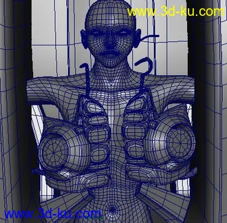 3D打印模型kuloutou2048的图片