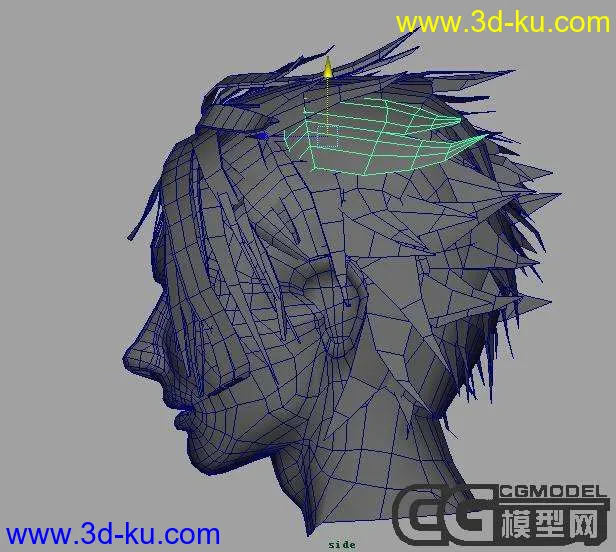 头部模型的图片2