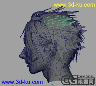 头部模型的图片