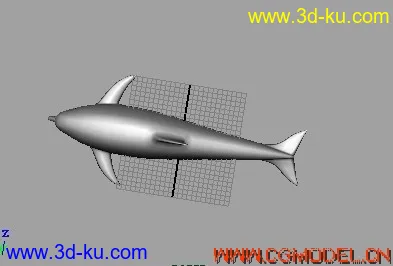 海豚模型的图片3