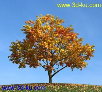 3D打印模型精致的金黄色树叶的小树（带贴图）的图片