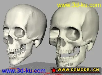 3D打印模型骷髅头的图片
