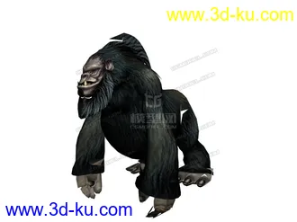 3D打印模型年老的大猩猩的图片