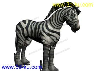 3D打印模型斑马的图片