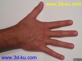 3D打印模型超真实人手的图片