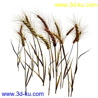 3D打印模型一小撮麦子带动画后期可以弄成麦浪的图片