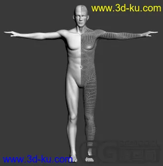 3D打印模型经典的男人体的图片
