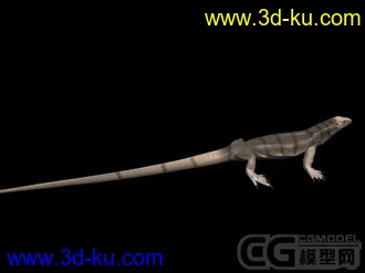 3D打印模型蜥蜴的图片