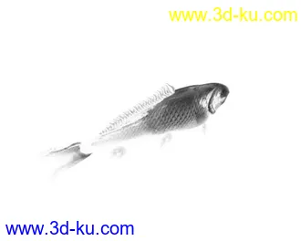 3D打印模型水墨鱼的图片