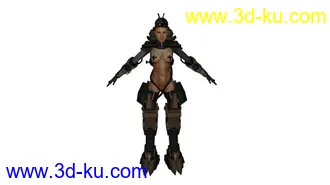女战士模型的图片