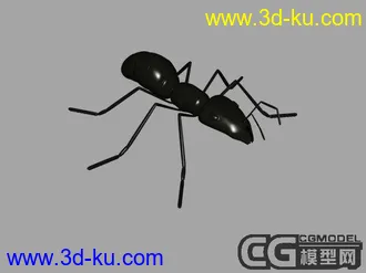 收集的动物的模型的图片