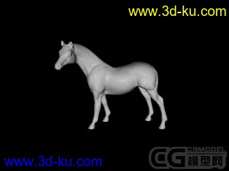 收集的动物的模型的图片