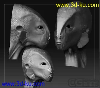 新来的发个模型的图片