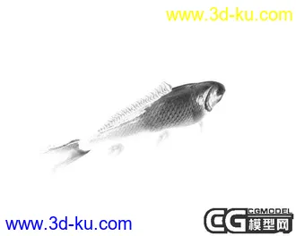 3D打印模型水墨鲤鱼的图片