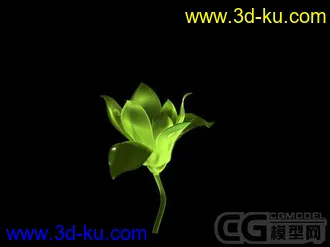 3D打印模型玉兰花的图片
