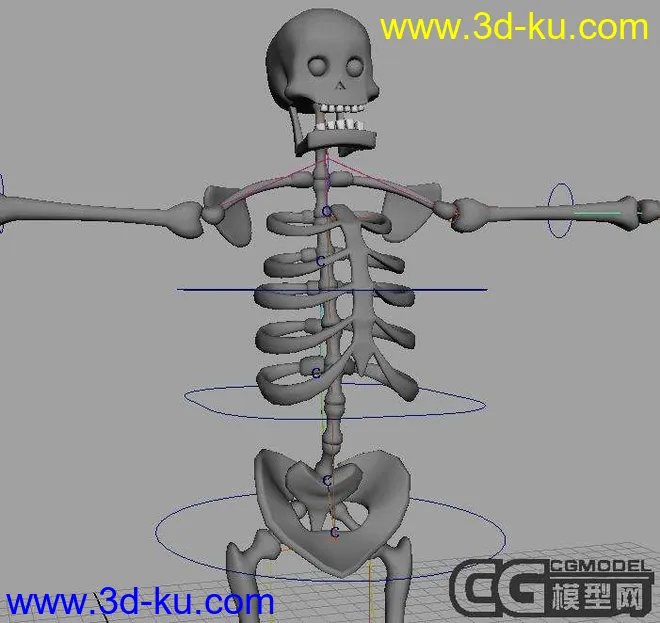 一个骨架的骨骼绑定模型的图片1
