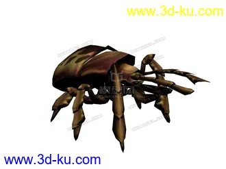 3D打印模型甲虫的图片