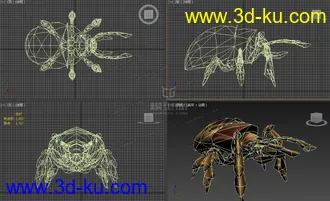 3D打印模型甲虫的图片