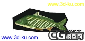 3D打印模型新手作业鱼的图片