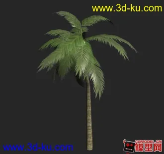 3D打印模型palm 棕榈树  分享的图片