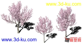 3D打印模型樱桃树的图片
