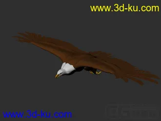 3D打印模型nurbs老鹰及其绑定（自己做的）的图片