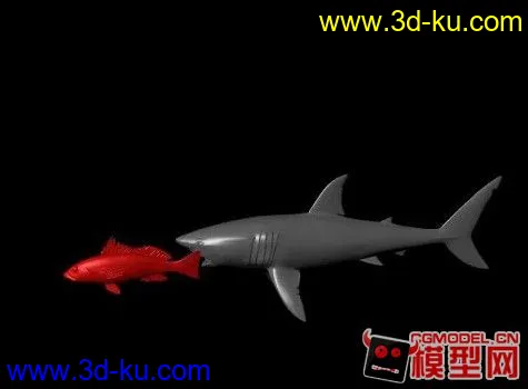 鲨鱼小鱼模型的图片1