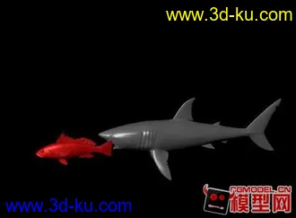3D打印模型鲨鱼小鱼的图片