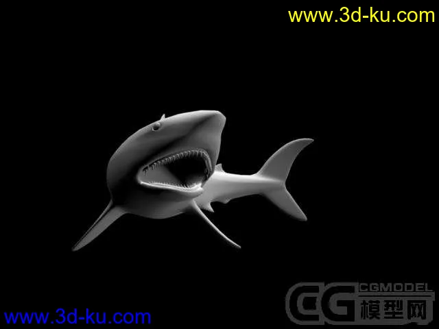 鲨鱼模型的图片1
