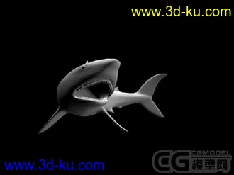 3D打印模型鲨鱼的图片