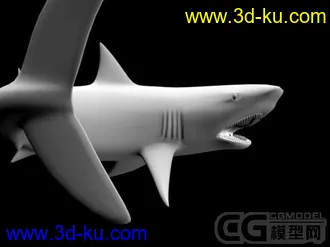 3D打印模型鲨鱼的图片