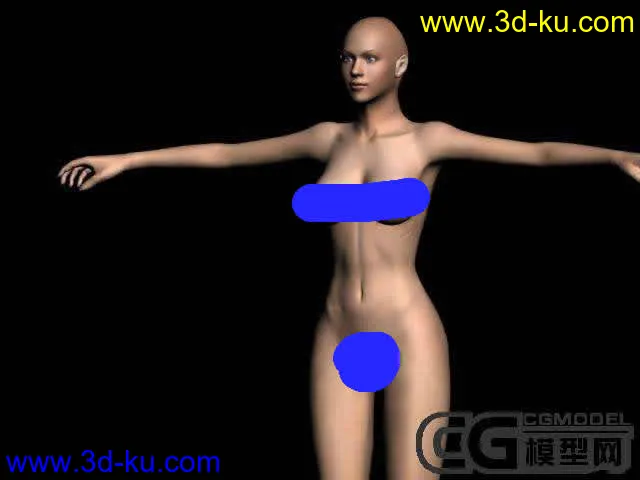 （大师经典收藏）再次发超级完美CG女人体 加蒙皮 骨骼  和精细贴图模型的图片2