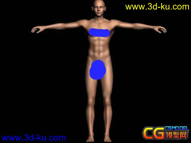 （大师经典收藏）再次发超级完美CG男人人体 加蒙皮 骨骼 和精细贴图模型的图片2