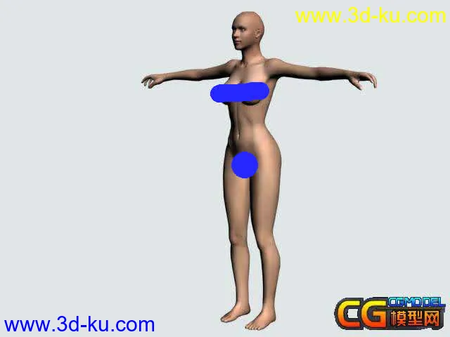 （大师经典收藏）再次发超级完美CG女人体 加蒙皮 骨骼 和精细贴图模型的图片1