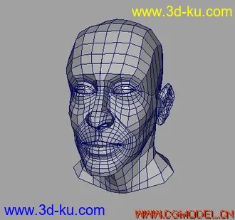 3D打印模型华仔头像的图片