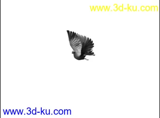 3D打印模型和平鸽 绑定骨骼 已K动画的图片