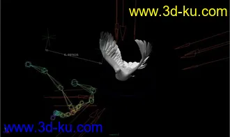 3D打印模型和平鸽 绑定骨骼 已K动画的图片