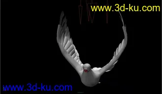 3D打印模型和平鸽 绑定骨骼 已K动画的图片