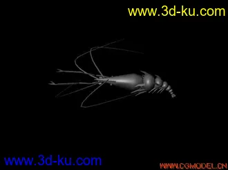 3D打印模型虾的图片