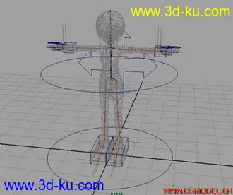 3D打印模型女孩骨骼绑定的图片