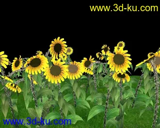 3D打印模型向日葵的图片