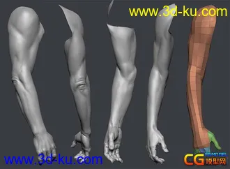 大师级zbrush模型佳作的图片